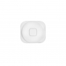 Botón home blanco para iPhone 5G
