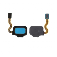 Botón de lector de huellas azul para Samsung Galaxy S8 G950F/S8 Plus G955F